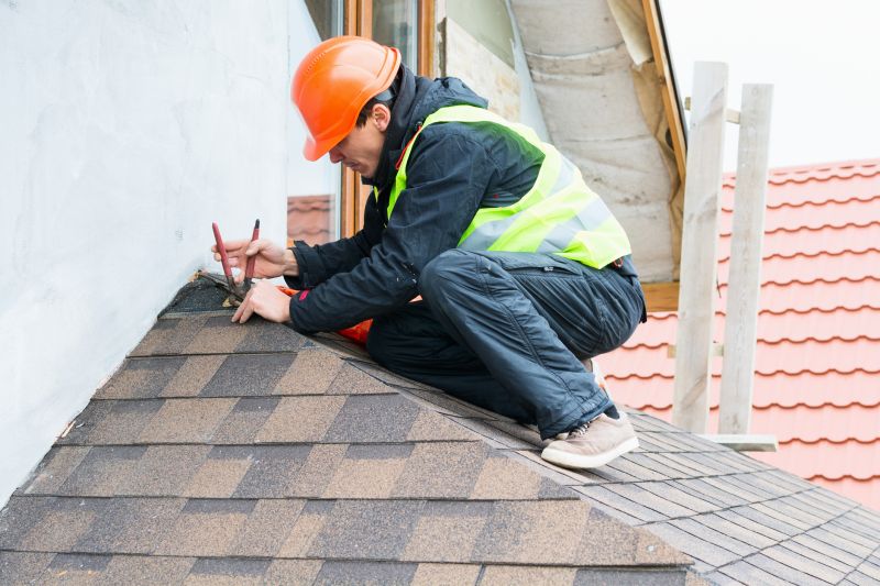 Roof Repair Consultation